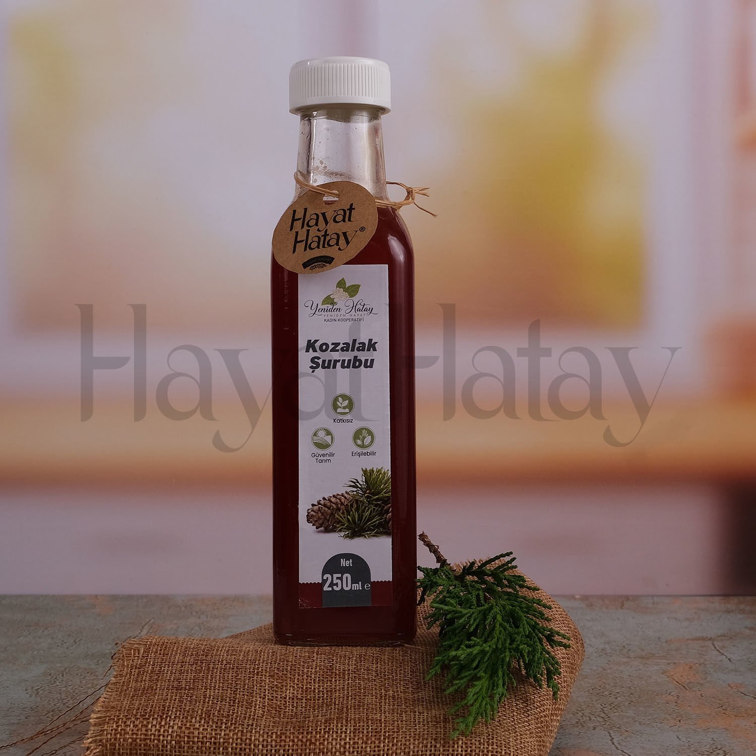 Kozalak Şurubu - 250 ml - Yeniden Hatay Kadın Kooperatifi