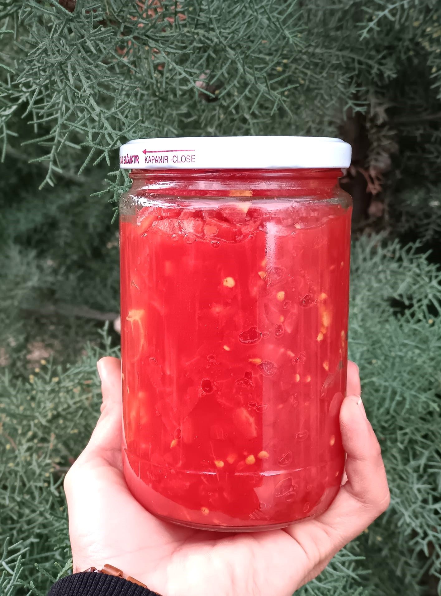 Domates Konservesi - 500 Gr - HayatHatay 6 Şubat Kadın Kooperatifi