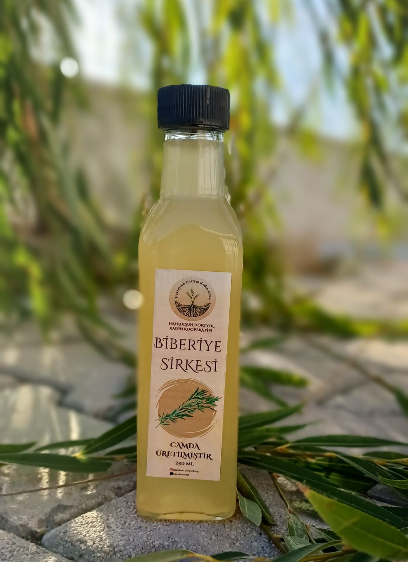 Biberiye Sirkesi - 250 Ml - Hayrolsun Dörtyol Kadın Kooperatifi