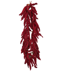 Ceylan Boynuzlu Biber Kurusu - İpte 100 adet - Antakya Şubat Kadınları Kooperatifi