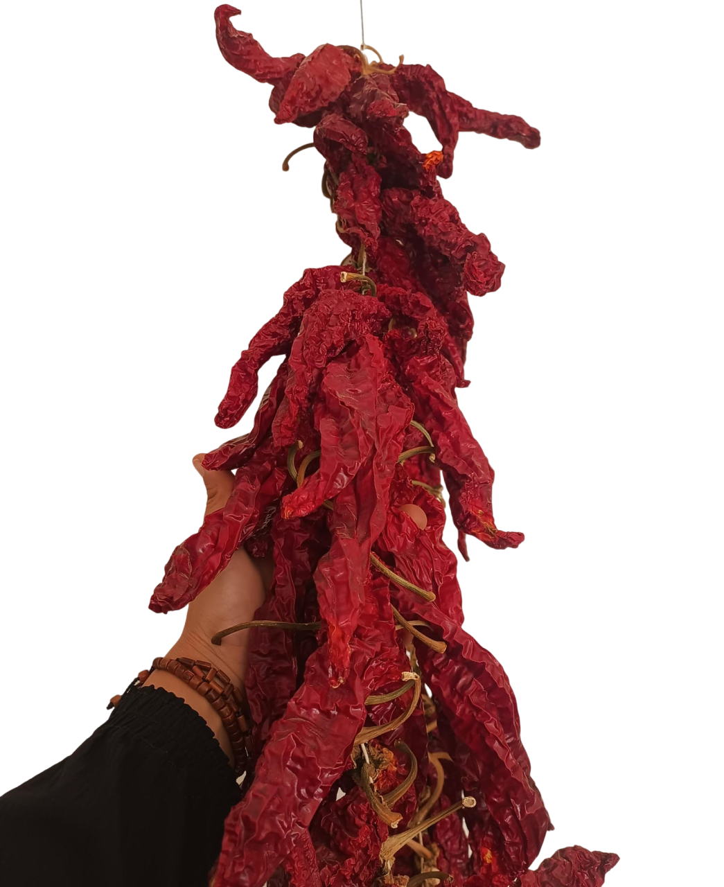 Ceylan Boynuzlu Biber Kurusu - İpte 100 adet - Antakya Şubat Kadınları Kooperatifi