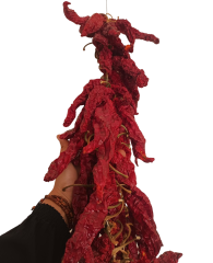 Ceylan Boynuzlu Biber Kurusu - İpte 100 adet - Antakya Şubat Kadınları Kooperatifi