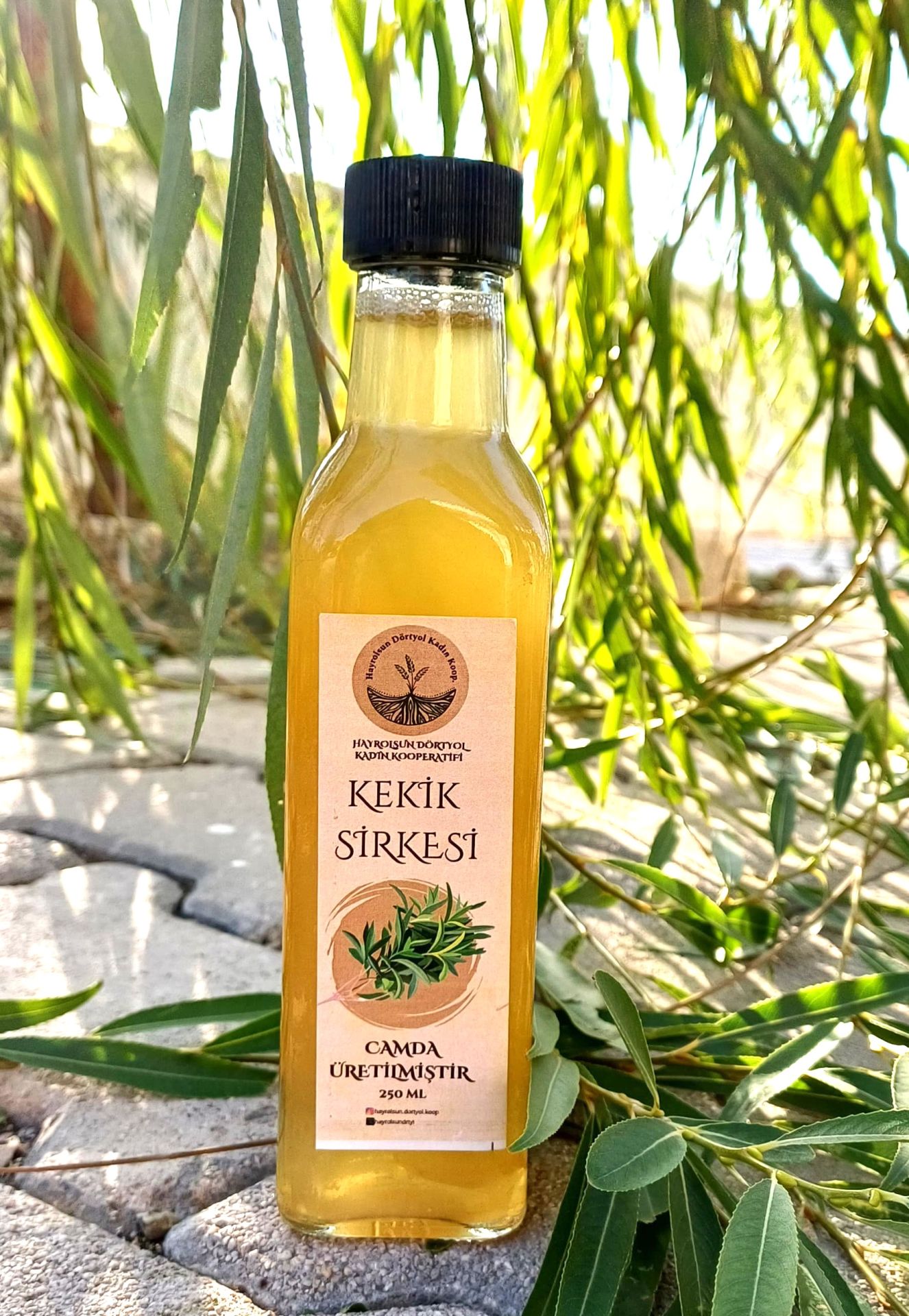 Kekik Sirkesi - 250 Ml - Hayrolsun Dörtyol Kadın Kooperatifi