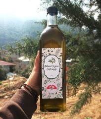 Zeytinyağı (Cam Şişe) - 1 Lt - HayatHatay 6 Şubat Kadın Kooperatifi