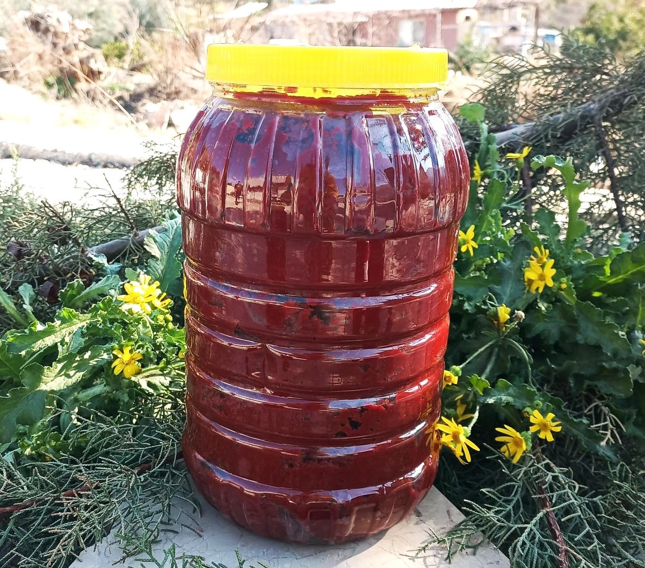 Domates Salçası - 3200 Gr - HayatHatay 6 Şubat Kadın Kooperatifi