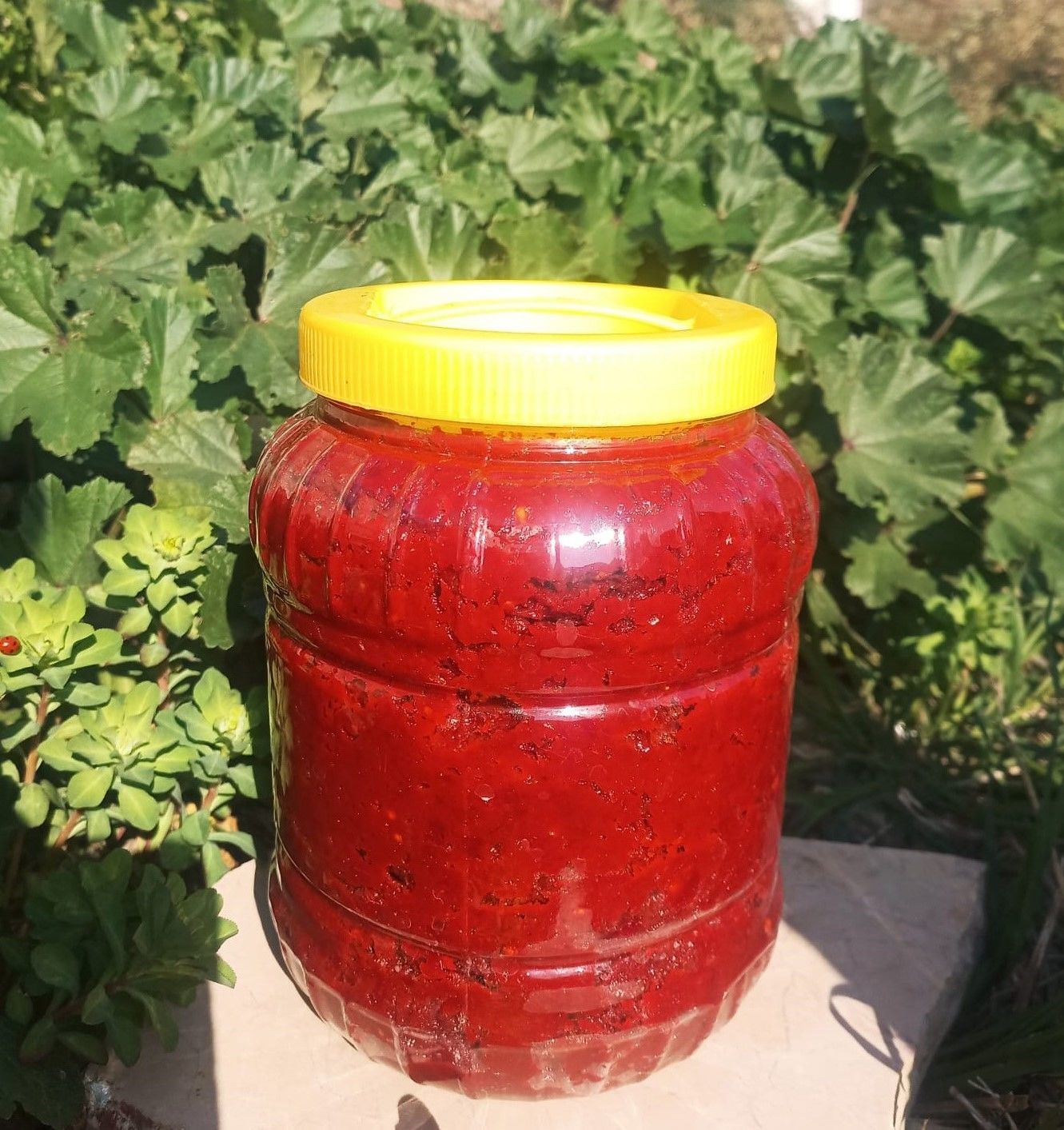 Tatlı Biber Salçası - 2 Kg - HayatHatay 6 Şubat Kadın Kooperatifi