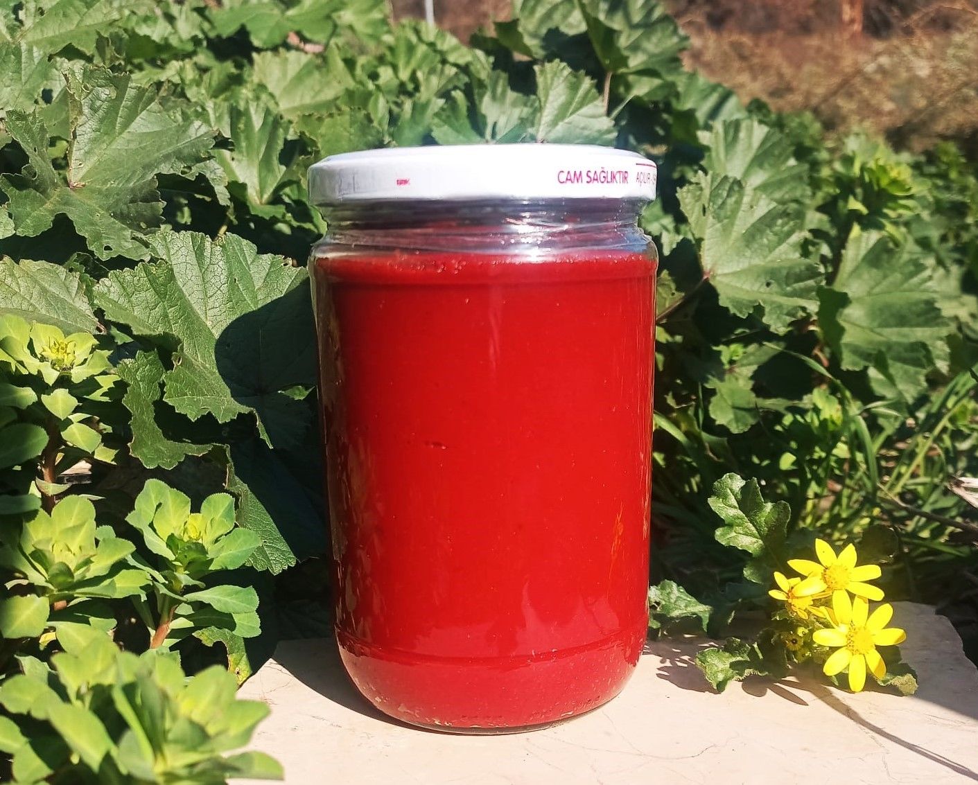 Domates Salçası - 700 Gr - HayatHatay 6 Şubat Kadın Kooperatifi