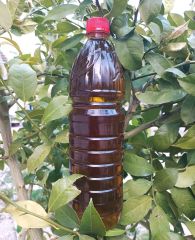 Zeytinyağı (Plastik Şişe) - 1 Lt - HayatHatay 6 Şubat Kadın Kooperatifi