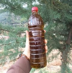 Zeytinyağı (Plastik Şişe) - 1 Lt - HayatHatay 6 Şubat Kadın Kooperatifi