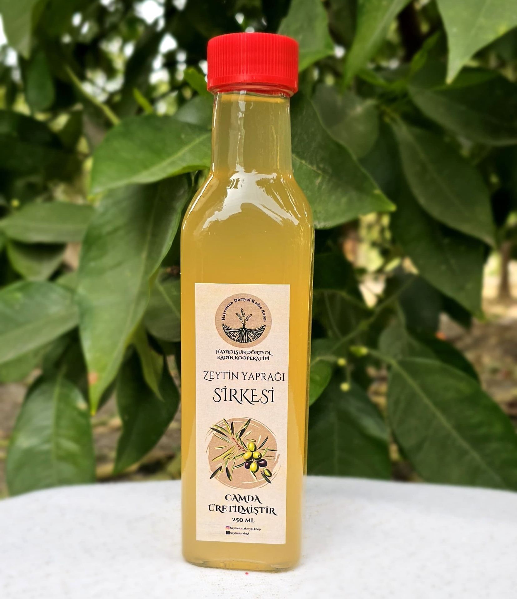 Zeytin Yaprağı Sirkesi - 250 Ml - Hayrolsun Dörtyol Kadın Kooperatifi