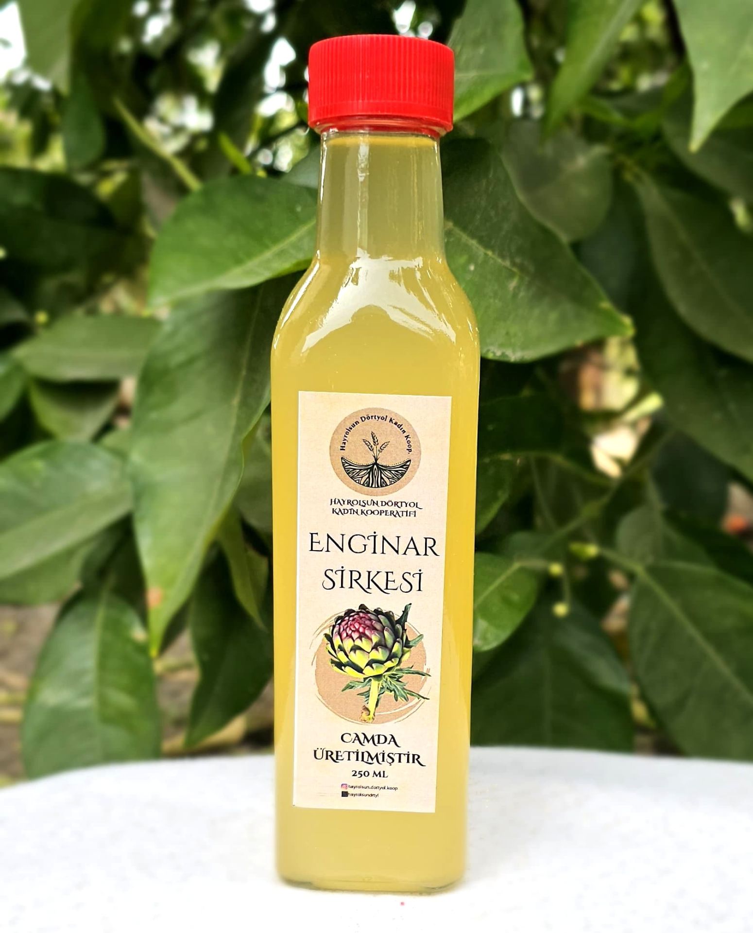 Enginar Sirkesi - 250 Ml - Hayrolsun Dörtyol Kadın Kooperatifi