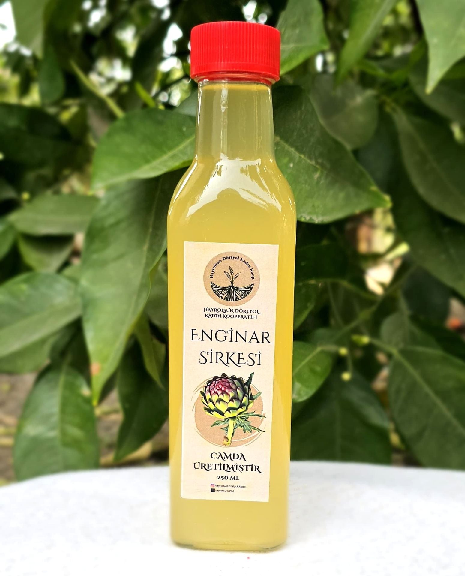 Enginar Sirkesi - 250 Ml - Hayrolsun Dörtyol Kadın Kooperatifi