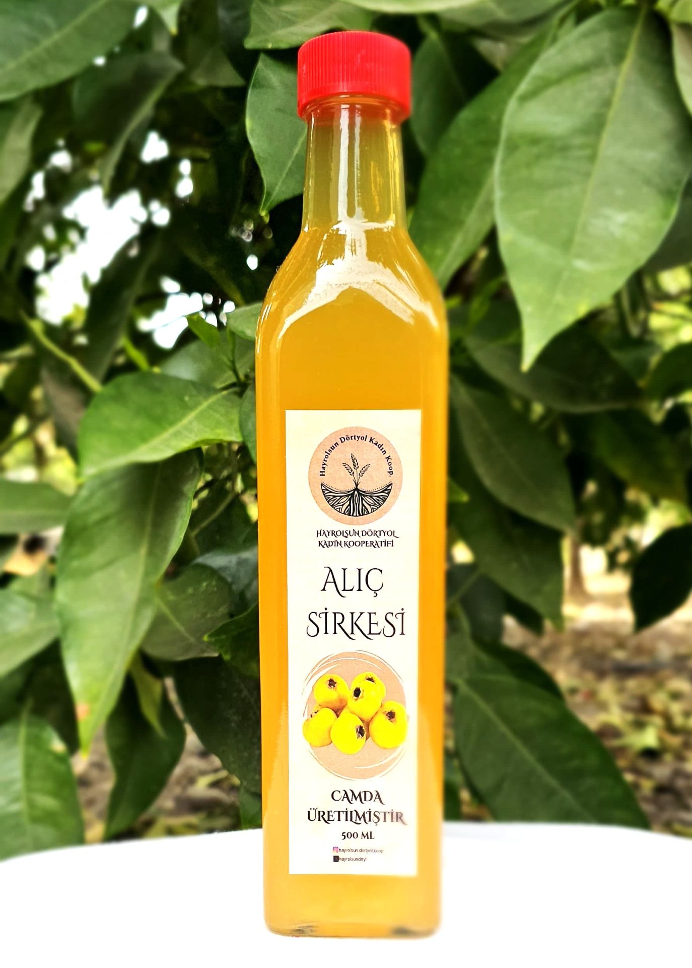 Alıç Sirkesi - 500 Ml - Hayrolsun Dörtyol Kadın Kooperatifi