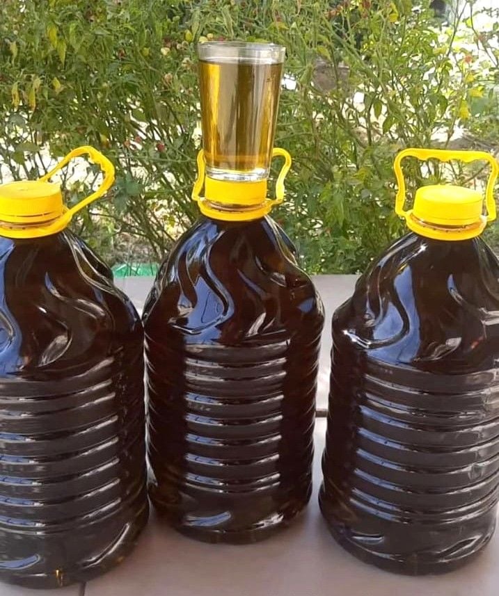 Zeytinyağı (Plastik Şişe) - 5 Lt - HayatHatay 6 Şubat Kadın Kooperatifi